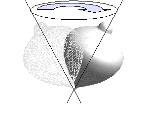 Trompo en Rotaci&oacute;n