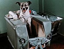Laika, la primera Cosmonauta