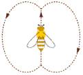 El Lenguaje de las Abejas