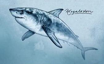 Megalodon