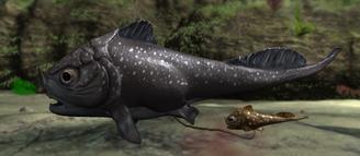 Materpiscis